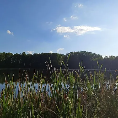 Siebert By Interhome Apartmán