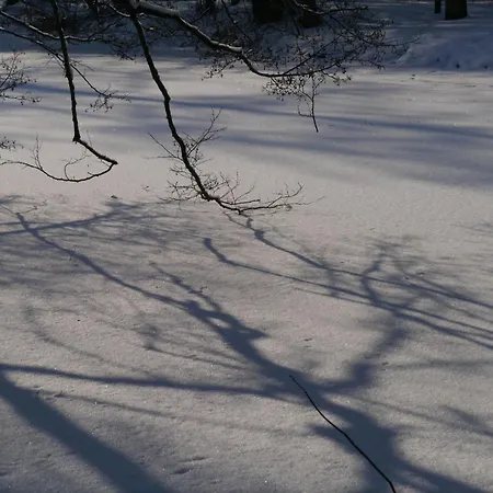 Siebert By Interhome *