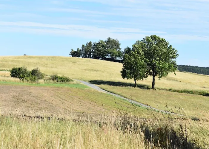 Apartament Siebert By Interhome Bad Brambach