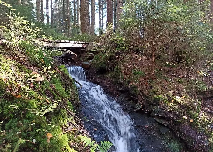 Appartement Siebert By Interhome Bad Brambach