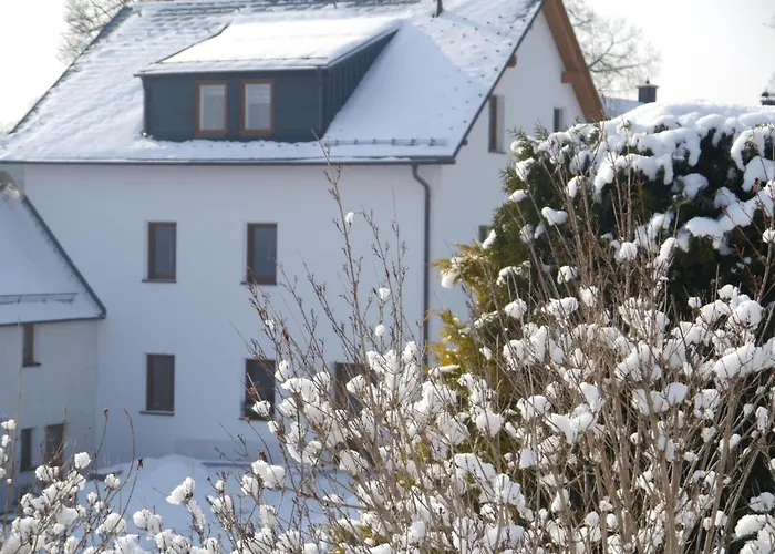 Apartament Siebert By Interhome Bad Brambach