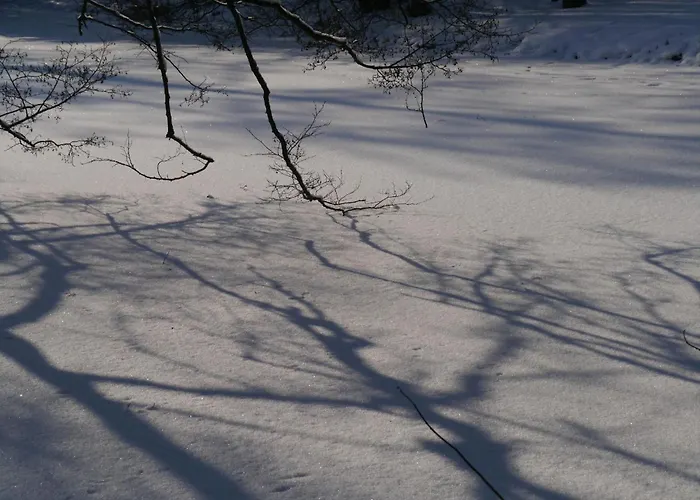 Siebert By Interhome *